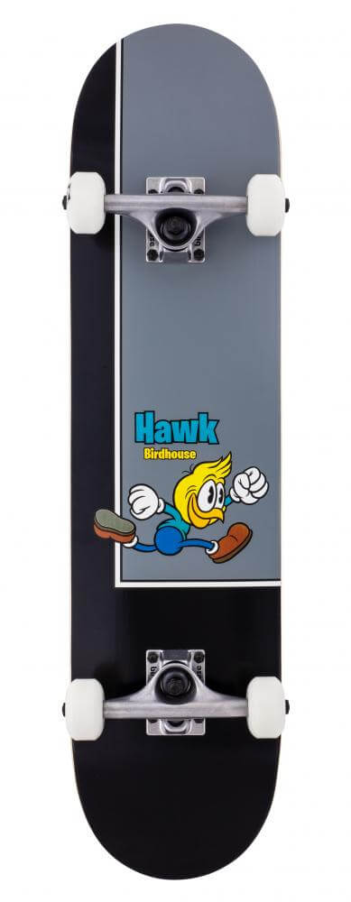 Birdhouse Hawk Birds Black Grey