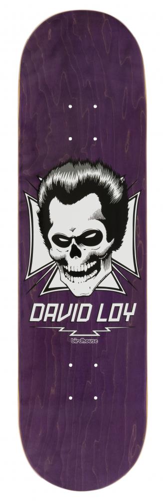 Birdhouse Pro Deck Loy Skull