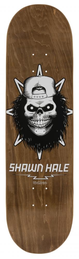 Birdhouse Pro Deck Hale Skull